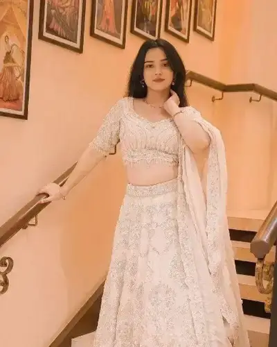 Escort Service In Panchkula
